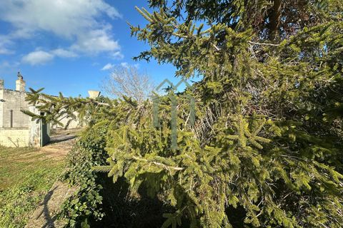 Masia a Ostuni, Brindisi, Ostuni - € 75.000 | Ref: Casolare Vert - foto 10